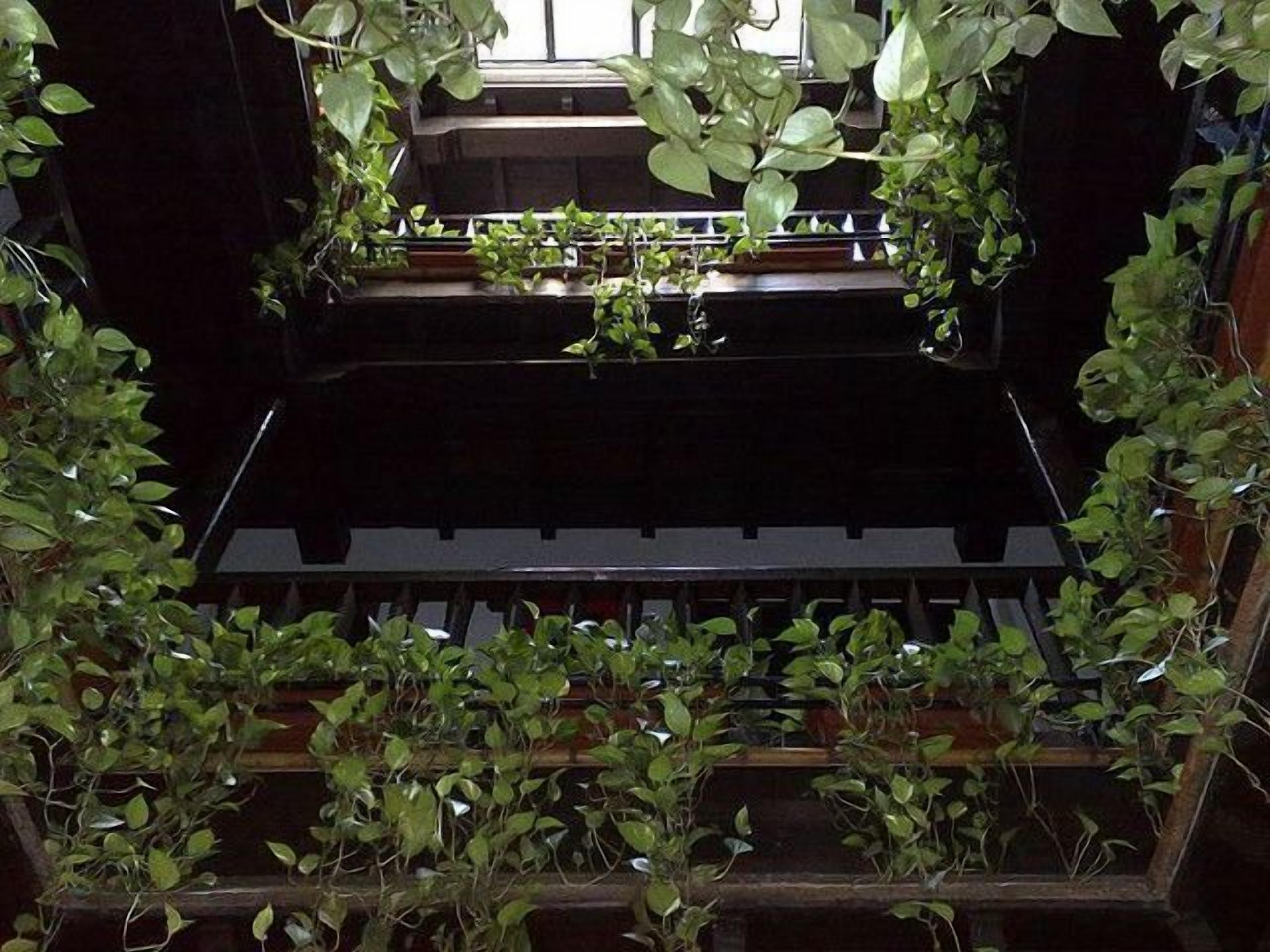 Foto - Oasis Backpackers' Hostel Granada