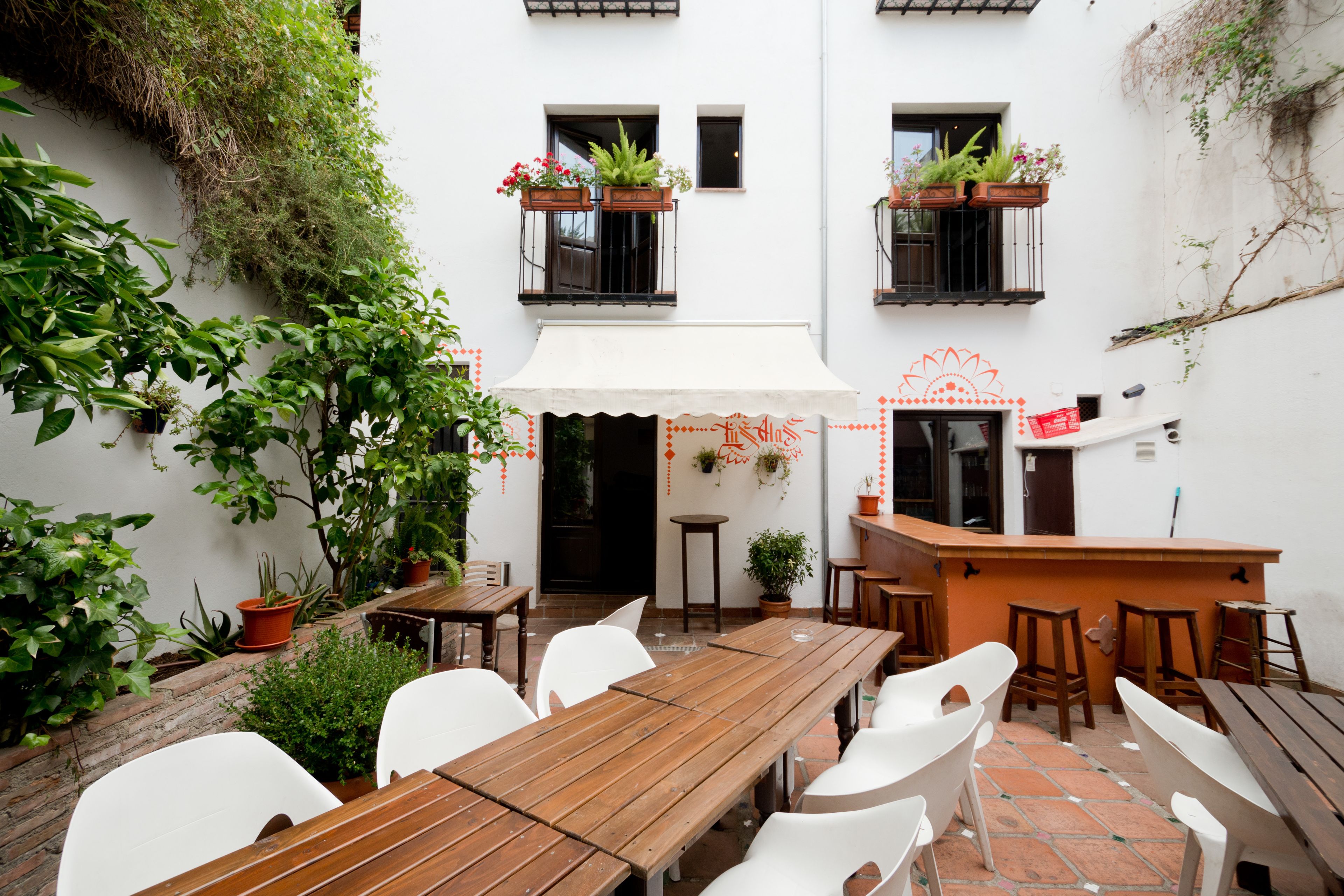Photo - Oasis Backpackers' Hostel Granada