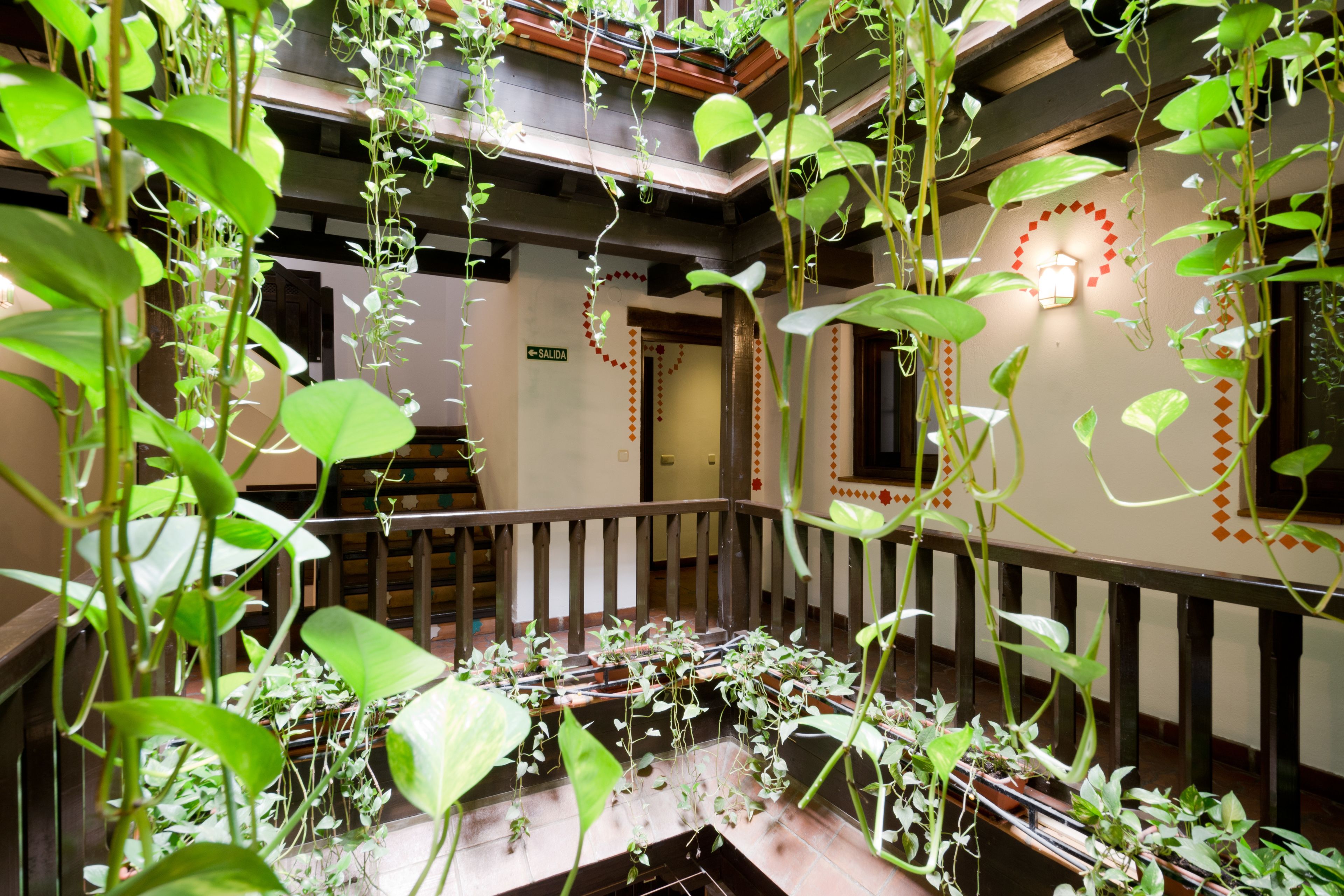 Photo - Oasis Backpackers' Hostel Granada