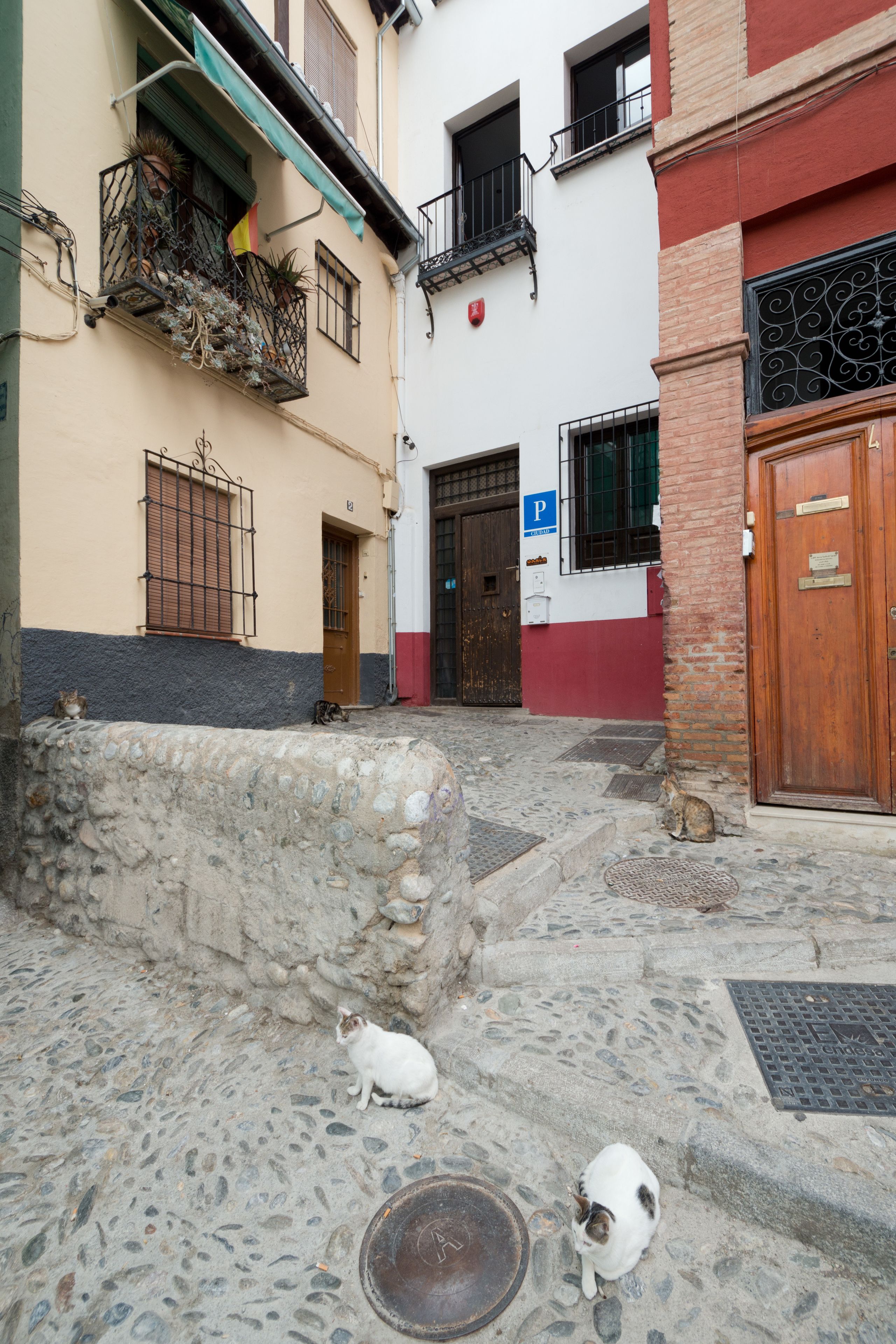 Photo - Oasis Backpackers' Hostel Granada