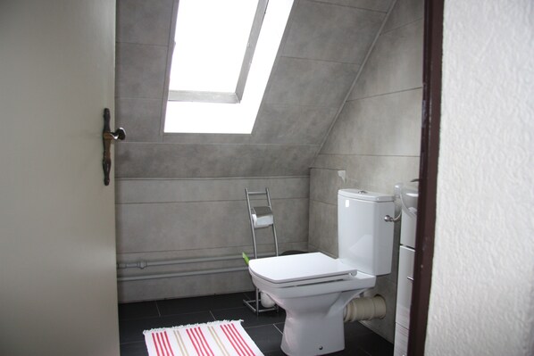 A small, modern bathroom with a skylight, a toilet, and a towel rack. - Hotel - Zum goldenen Stern (Unterspreewald)