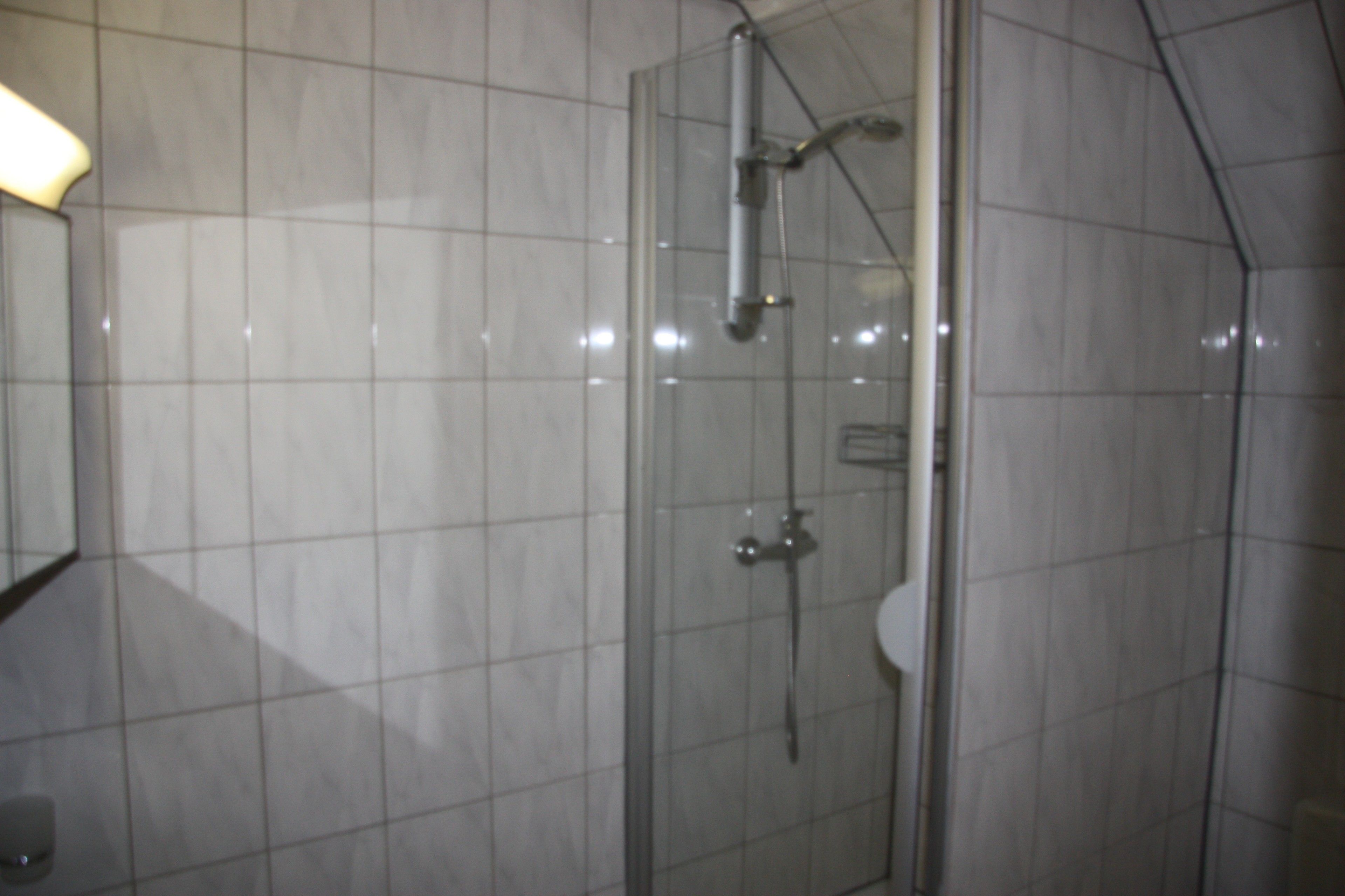 Un bagno con cabina doccia in vetro, un water e uno specchio.