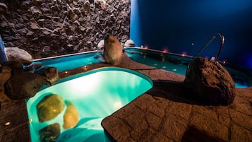 Sauna, Körperbehandlungen, Aromatherapie, Körperpeelings