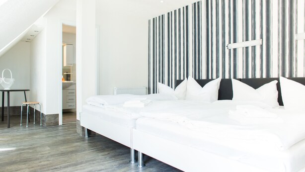 Classic-Doubleroom, 1 Doublebed, private bathroom, Annex, 400m from main building | Premium bedding, WiFi (free), bed sheets