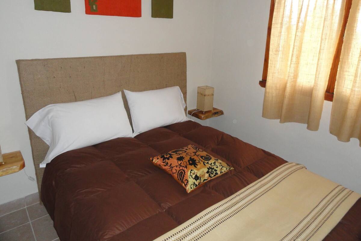 Un lit avec une tête de lit marron, des oreillers blancs et un coussin décoratif. Il y a deux interrupteurs d’éclairage fixés au mur et une petite table de chevet en bois avec une lampe.