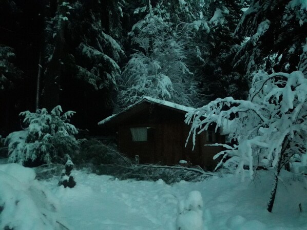 A cabin surrounded by snow-covered trees. - Le Bouquet Apart Hotel (Bariloche)