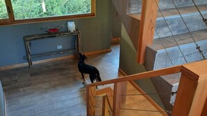A wooden staircase with a dog standing on the landing.