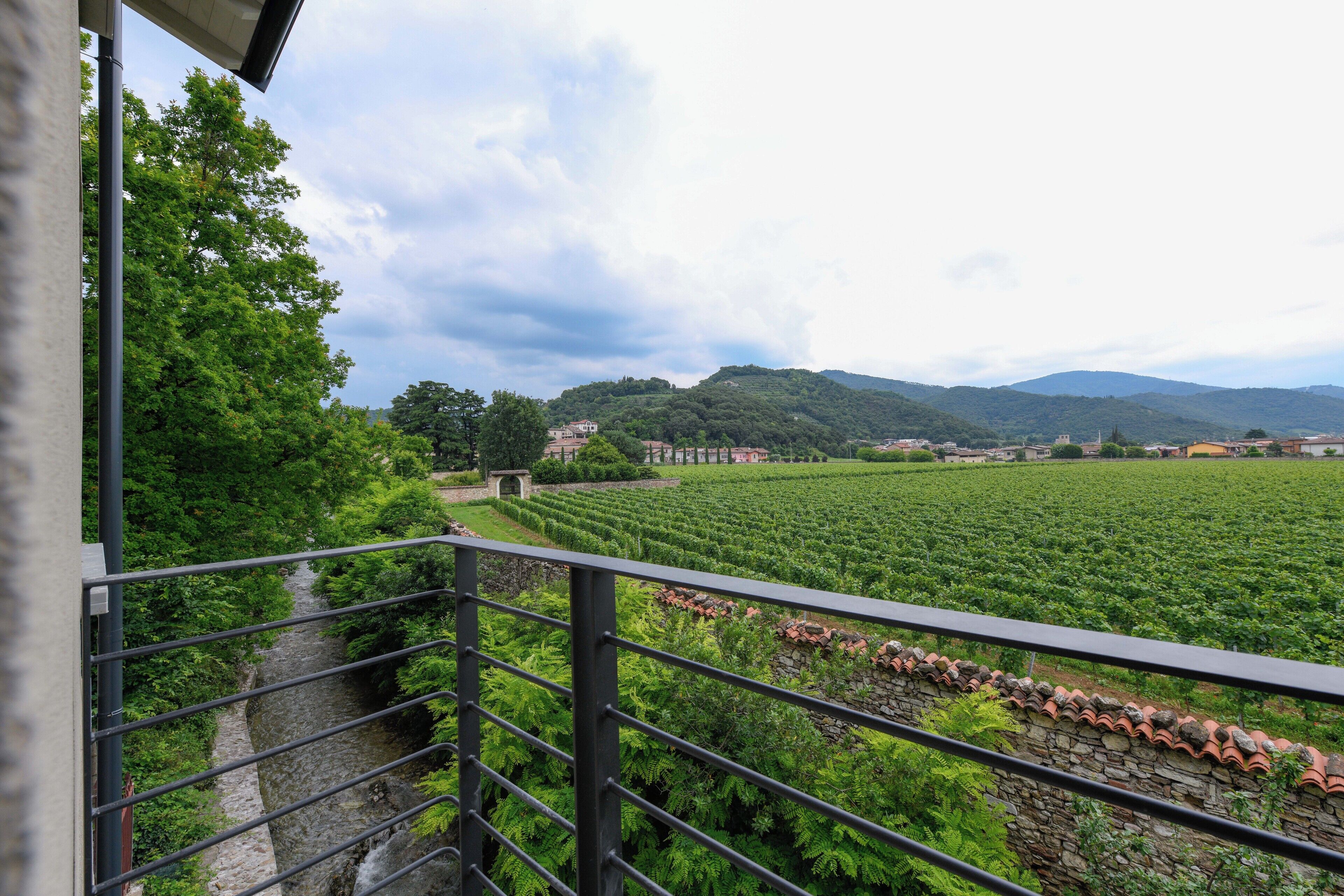 Habitación doble superior | Vista al viñedo