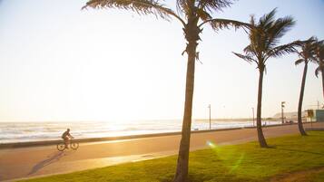 A beach path with palm trees and a cyclist.
