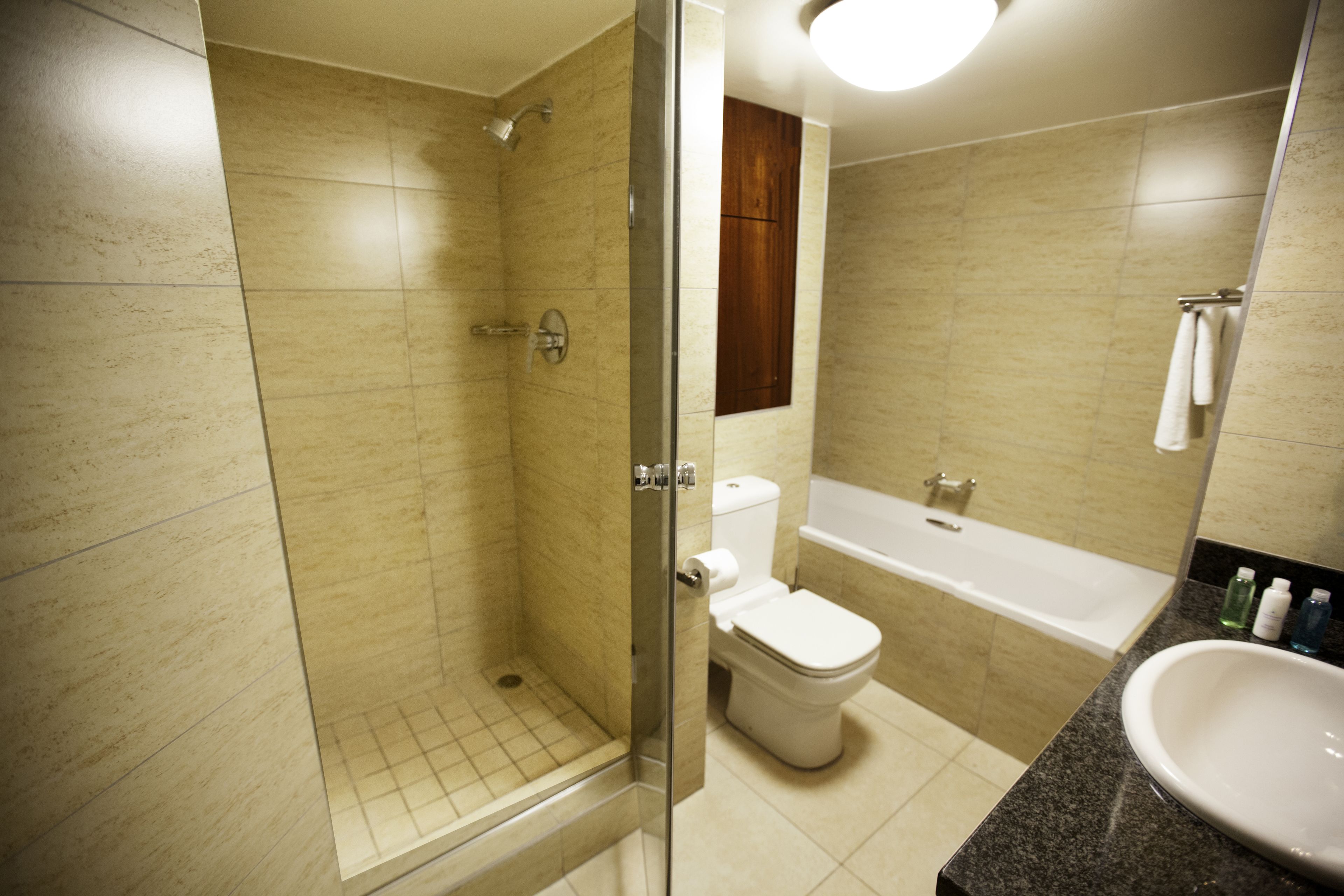 Een badkamer met een douche, toilet, bad en wastafel.