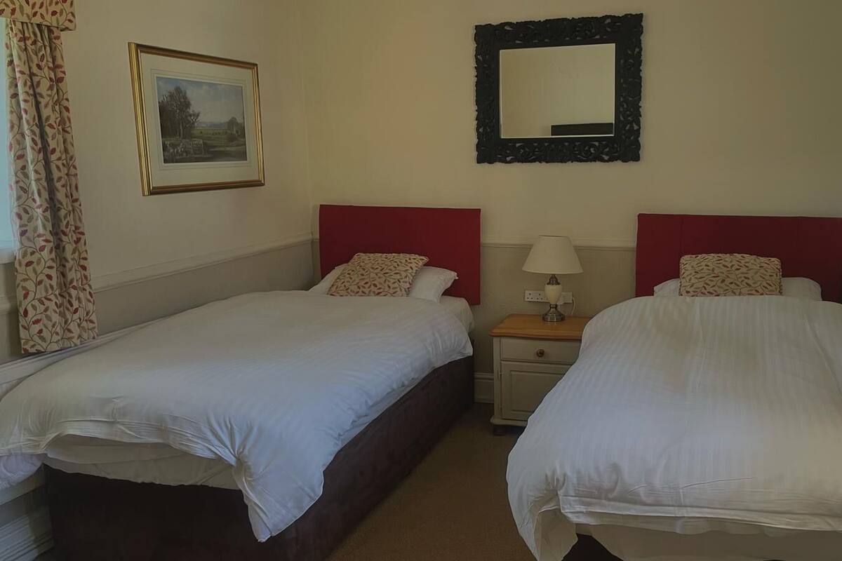 Une chambre d’hôtel avec deux lits simples, une table de chevet avec une lampe, un tableau encadré au mur et un miroir au-dessus du lit.