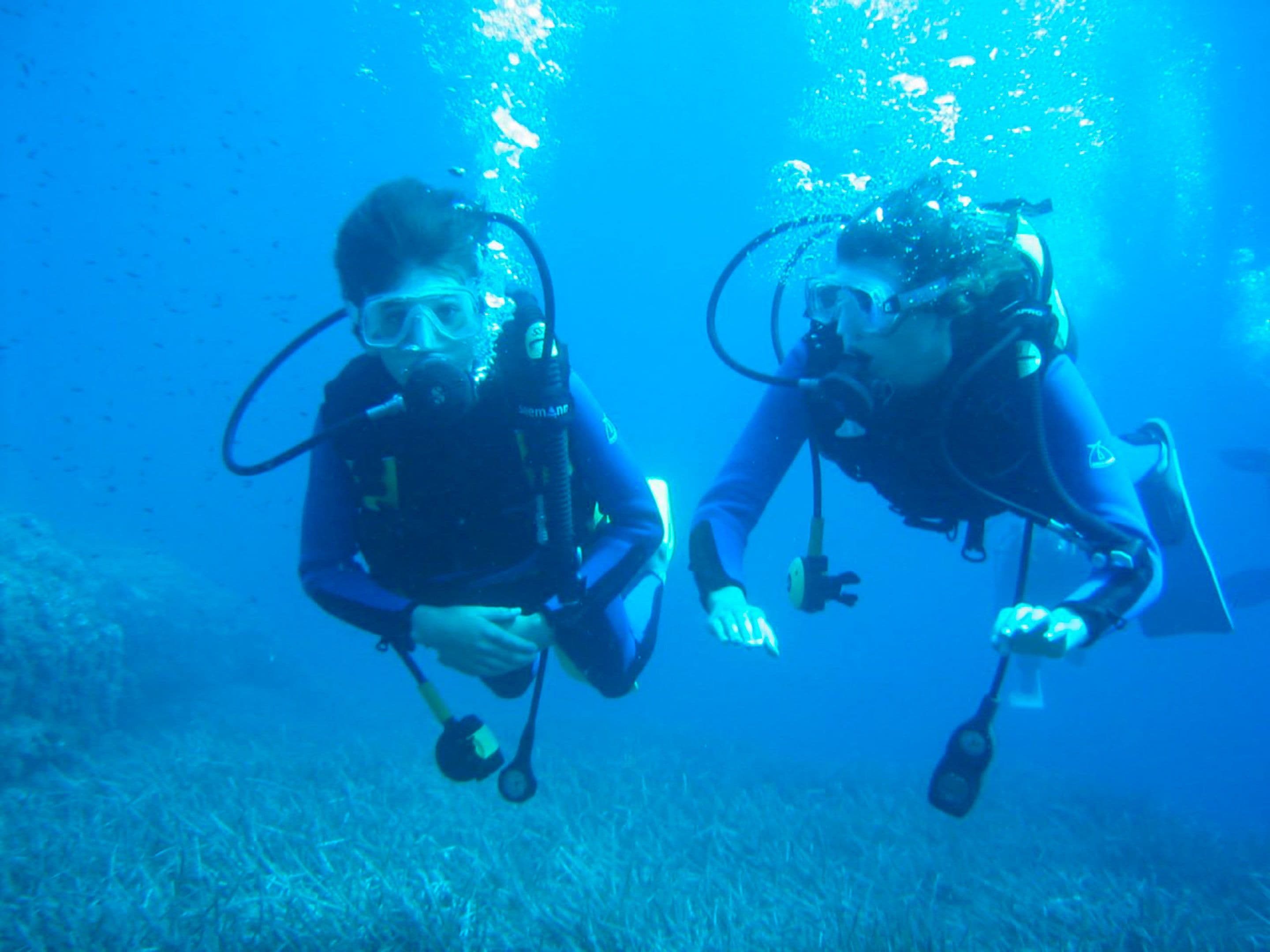 Two divers underwater with scuba gear, surrounded by marine life.