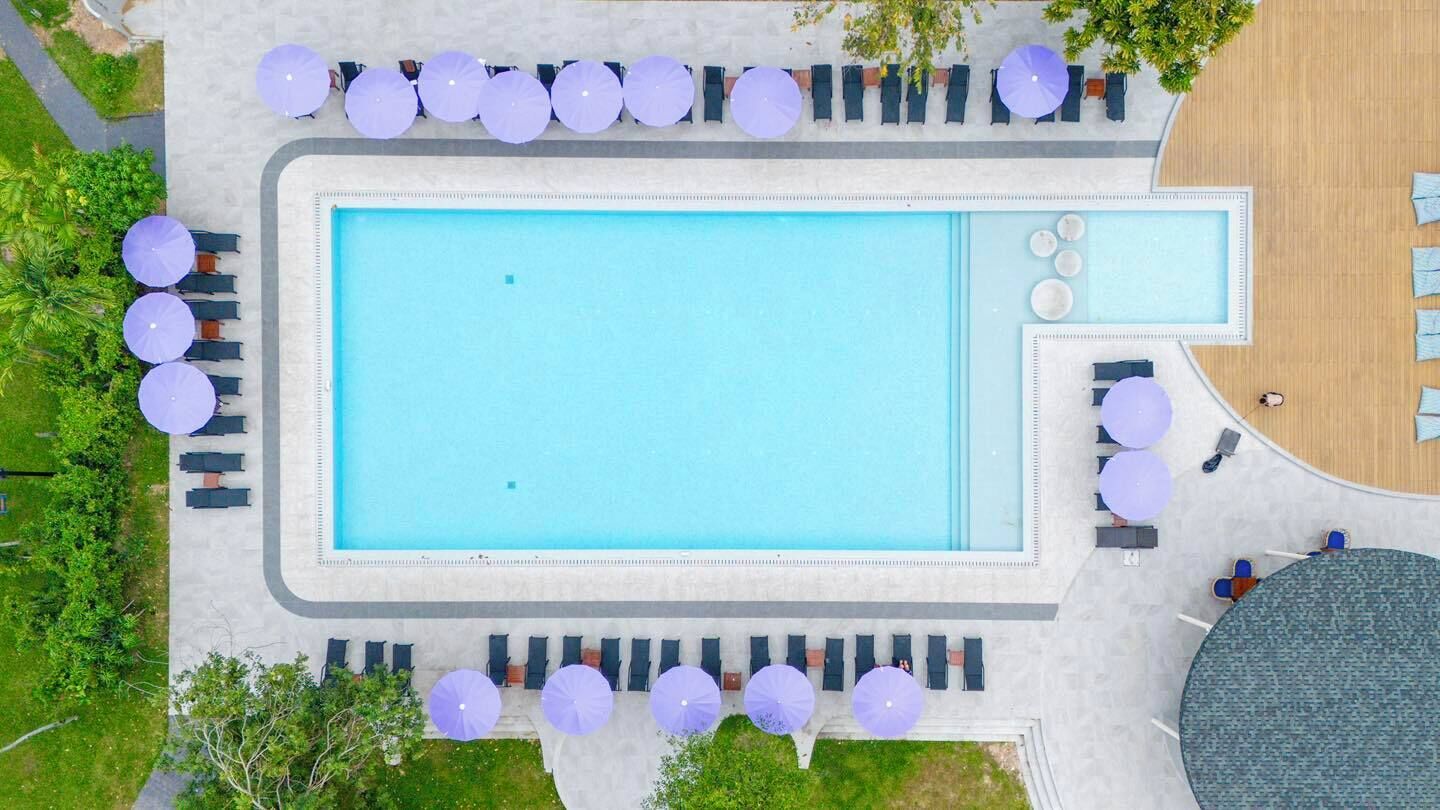 An aerial view of a swimming pool with surrounding lounge chairs and umbrellas, surrounded by greenery.