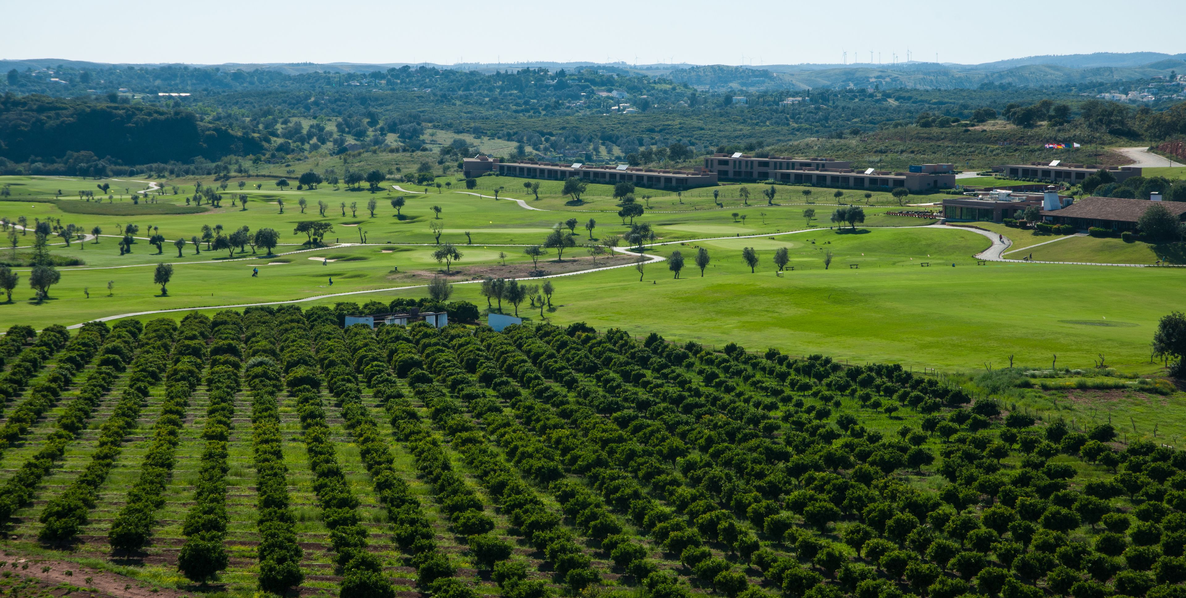 An aerial view of a golf course with neatly arranged trees and a large building complex in the background.