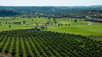 An aerial view of a golf course with neatly arranged trees and a large building complex in the background.