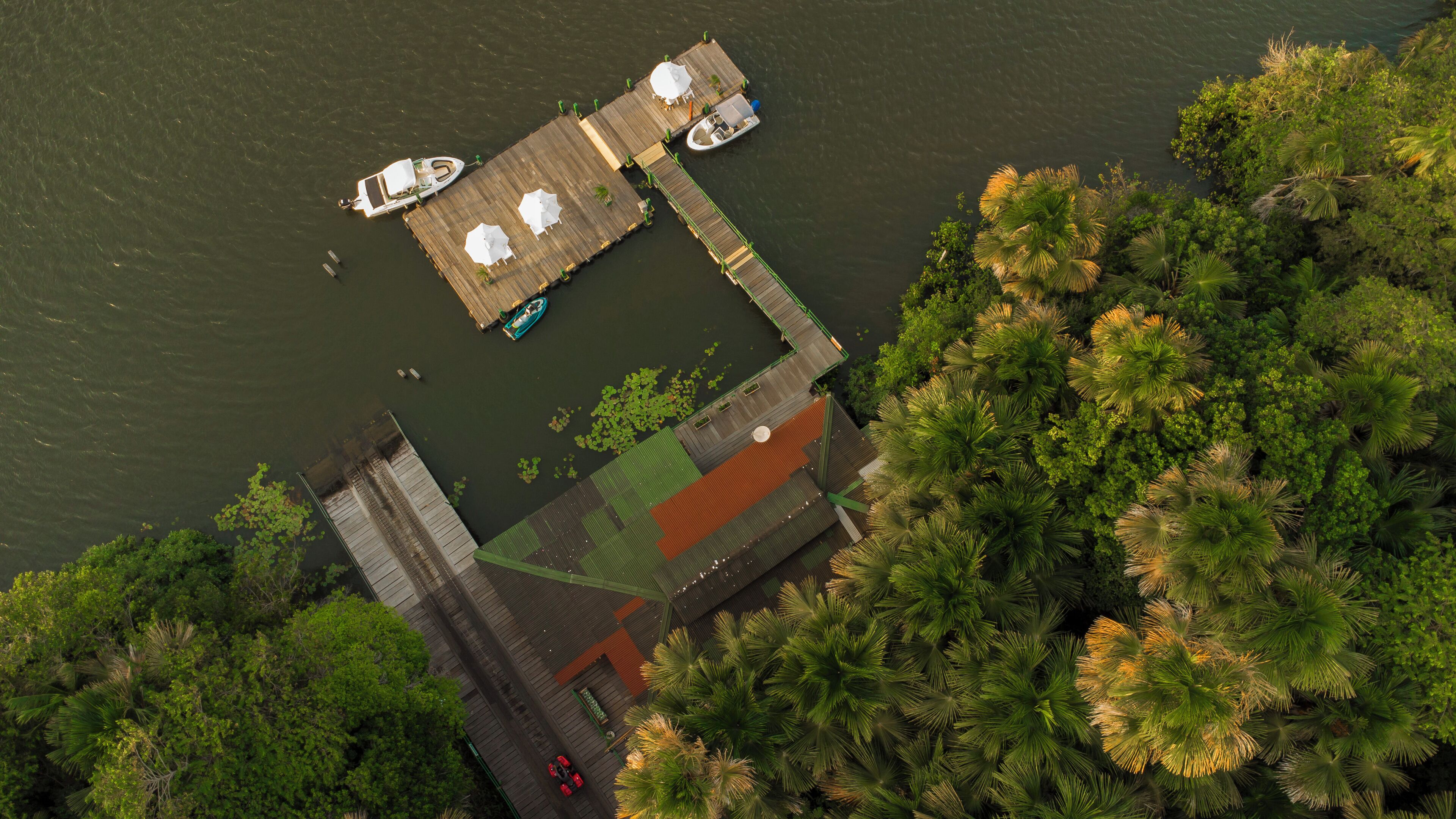 An aerial view of a dock with boats, a wooden pier, and dense surrounding foliage.