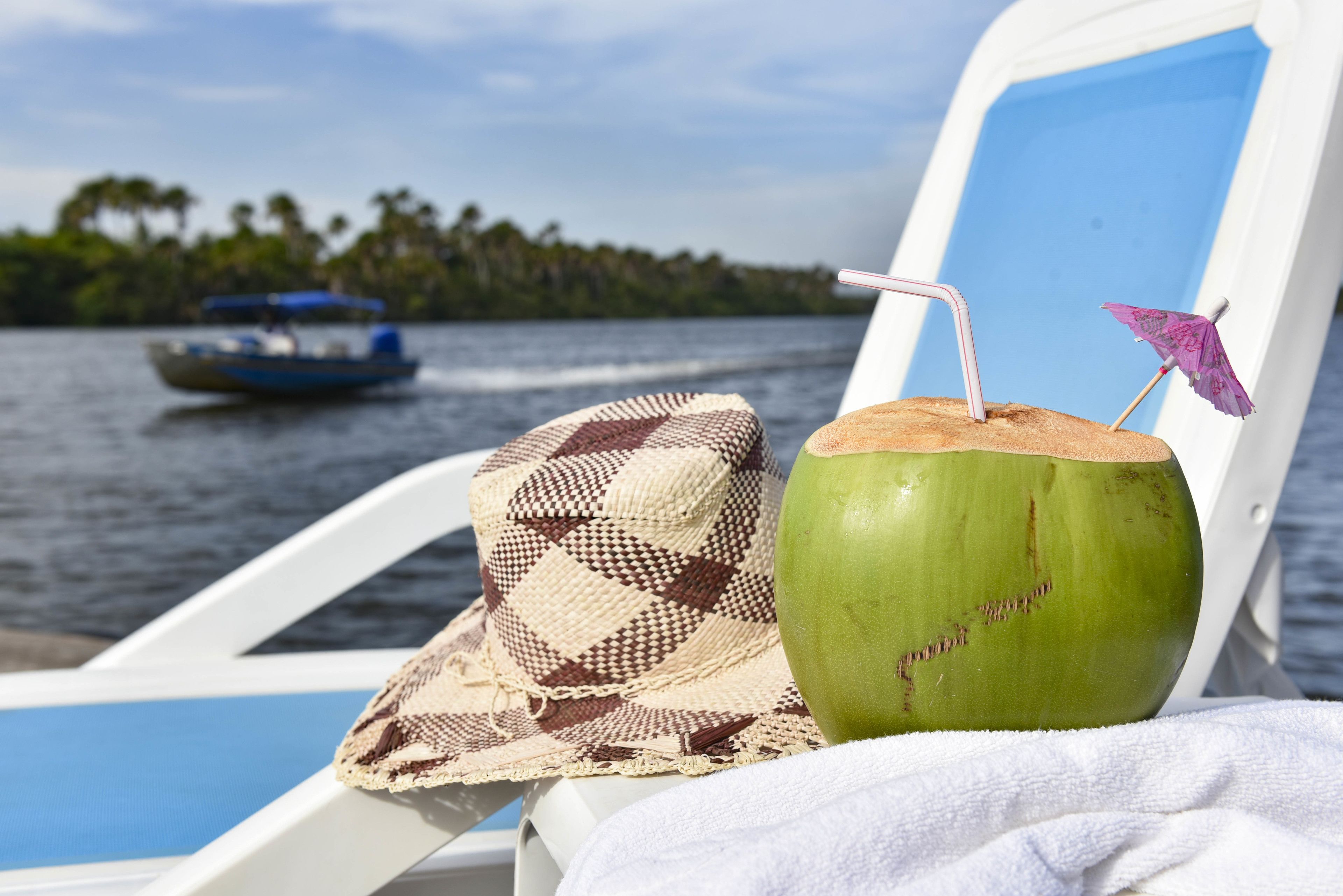 outdoor pool, pool loungers