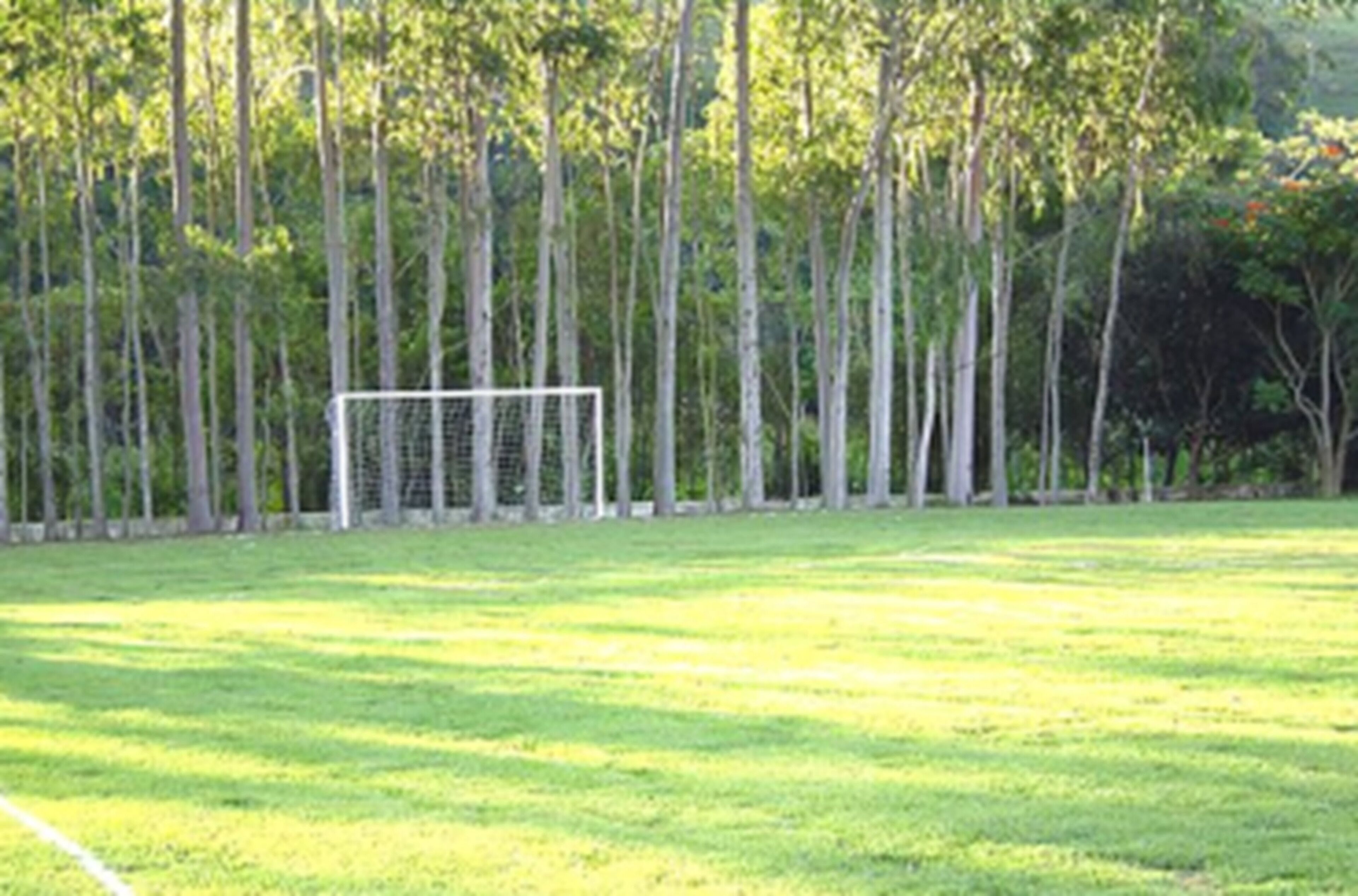 A soccer field with goalposts and a net, surrounded by trees.