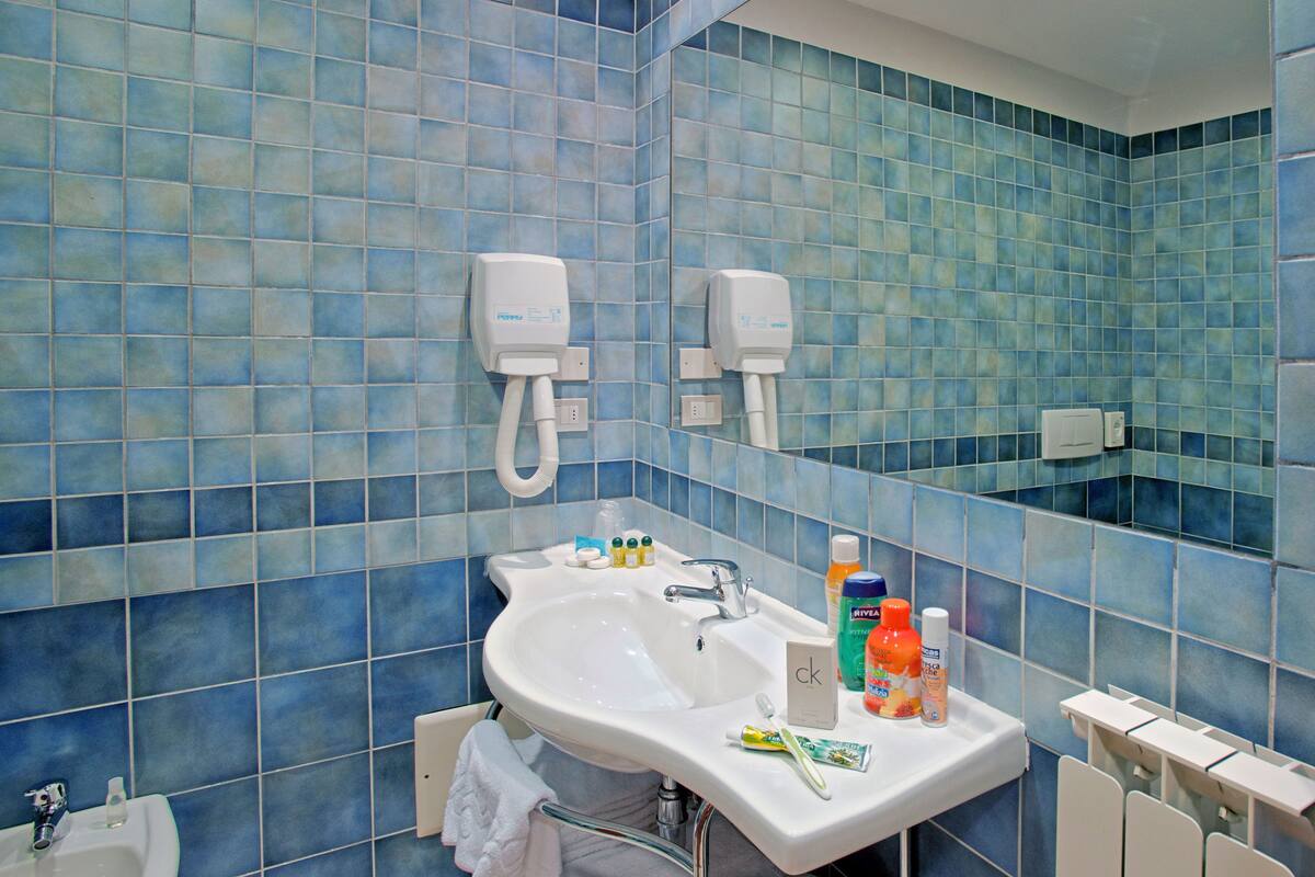 shower, free toiletries, hair dryer, slippers