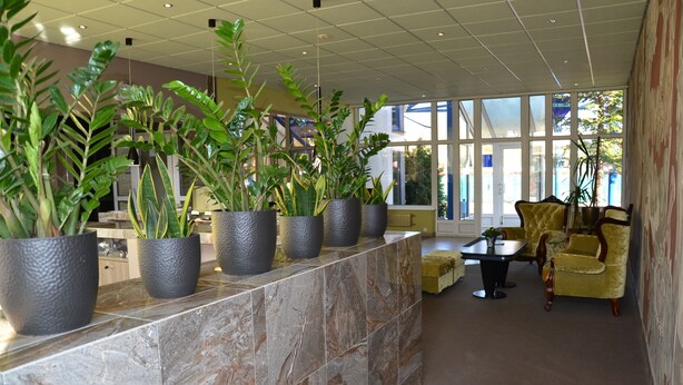 A lobby with a marble reception desk, potted plants, a yellow armchair, and large windows. - Best Baltic Hotel Palanga (Palanga)