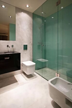 Shower, hair dryer, bidet, towels
