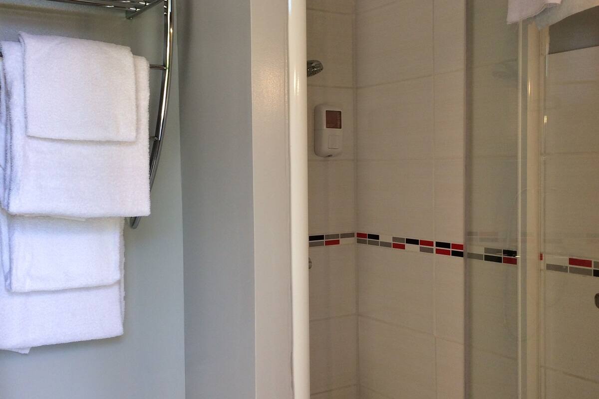 shower, free toiletries, hair dryer, towels