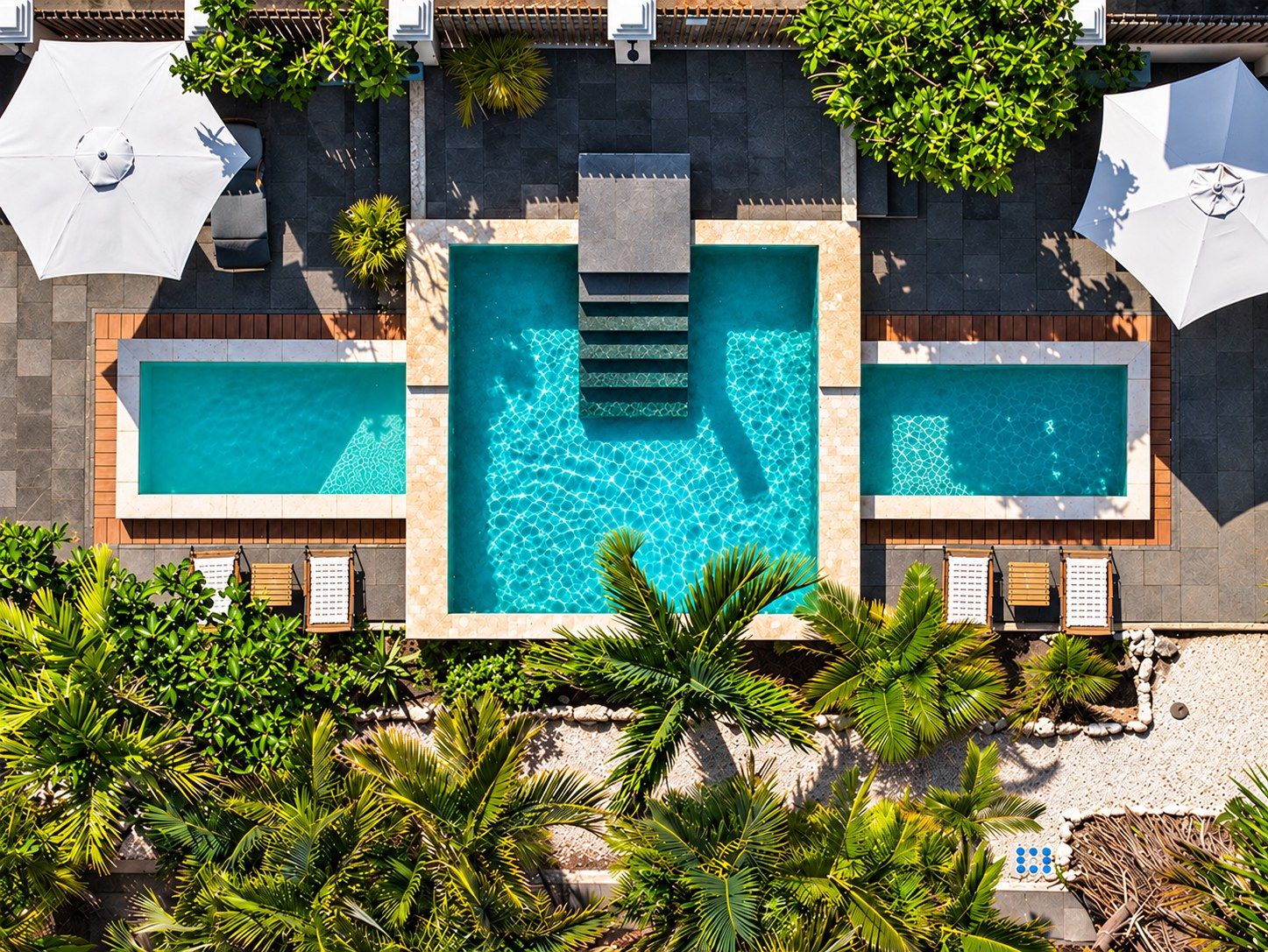 A rooftop pool area with two separate pools, surrounded by palm trees and lounge chairs.