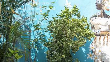 2 outdoor pools, pool umbrellas, pool loungers