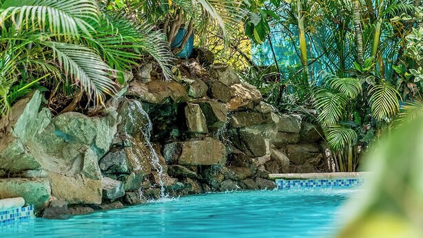Une piscine agrémentée d’une cascade naturelle en roche et d’une végétation tropicale luxuriante.