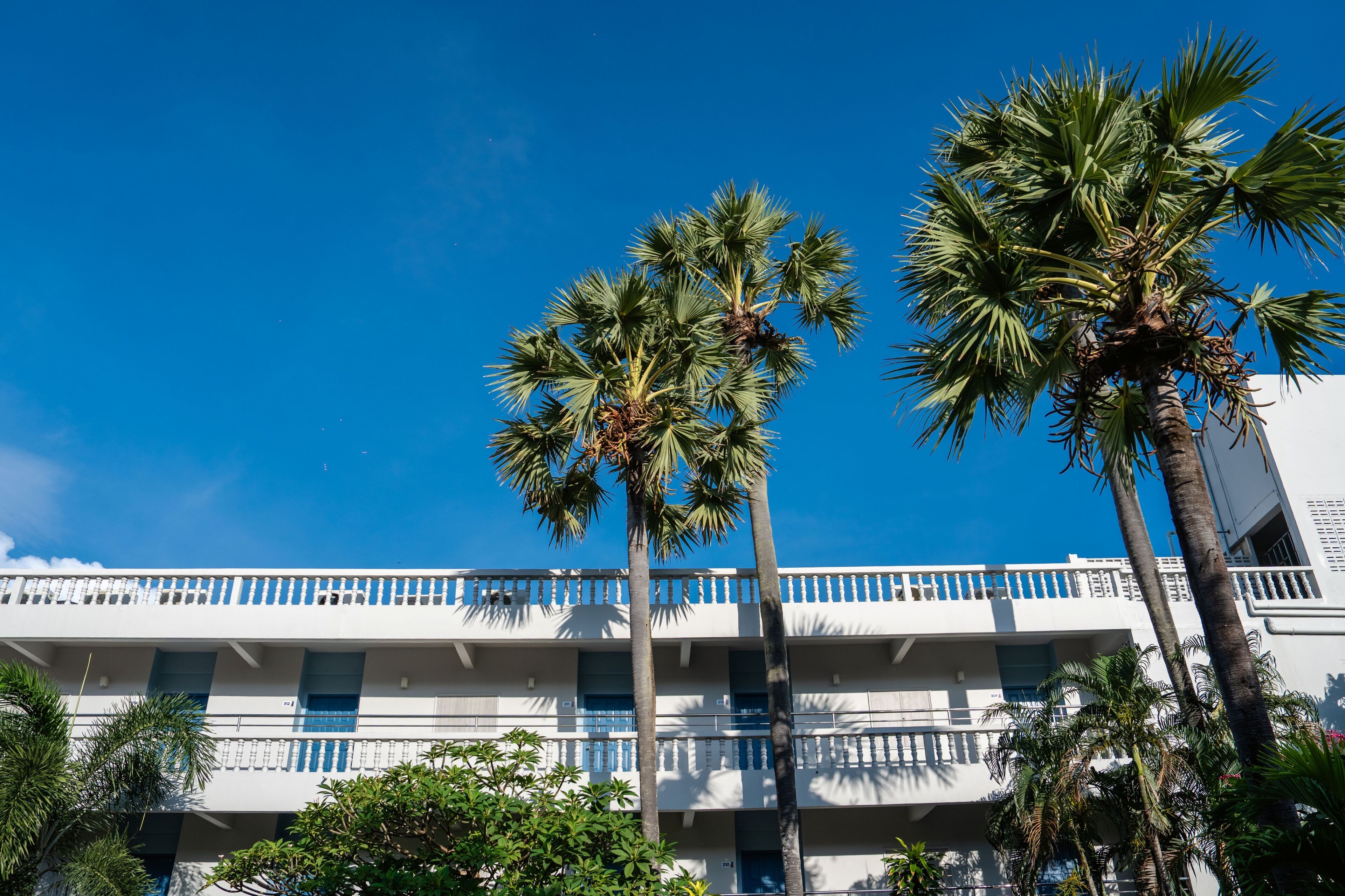 Foto - Phuket Island View Resort