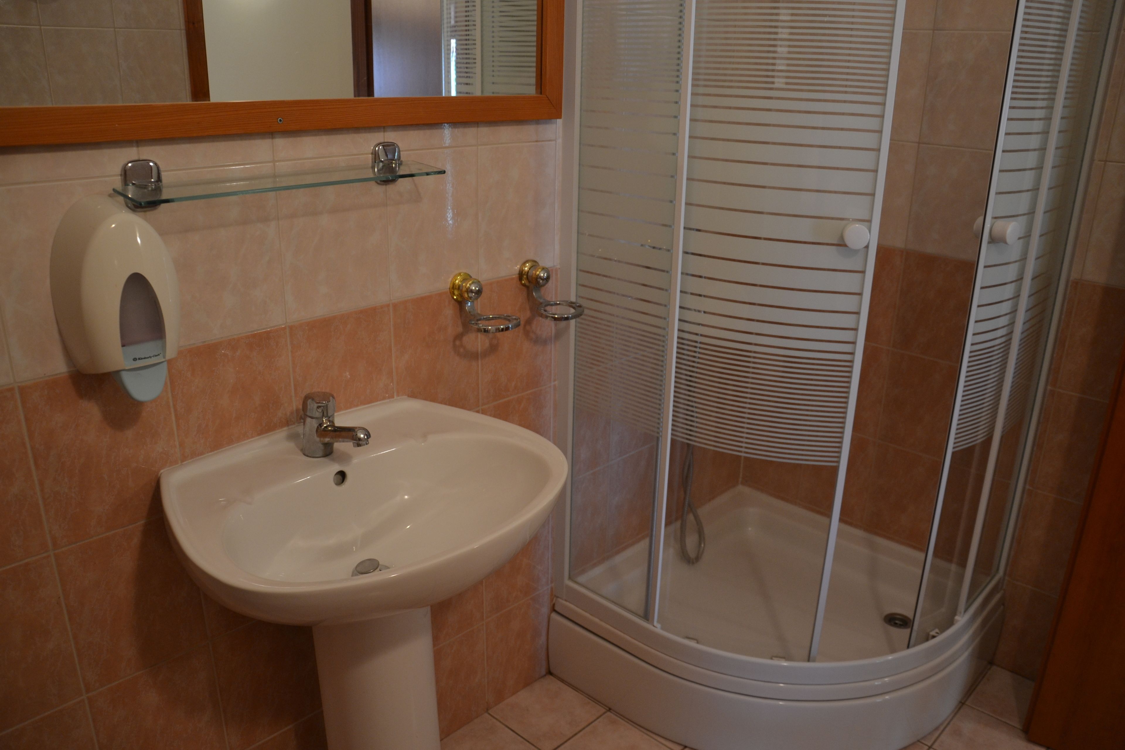 A bathroom with a sink, mirror, and shower.
