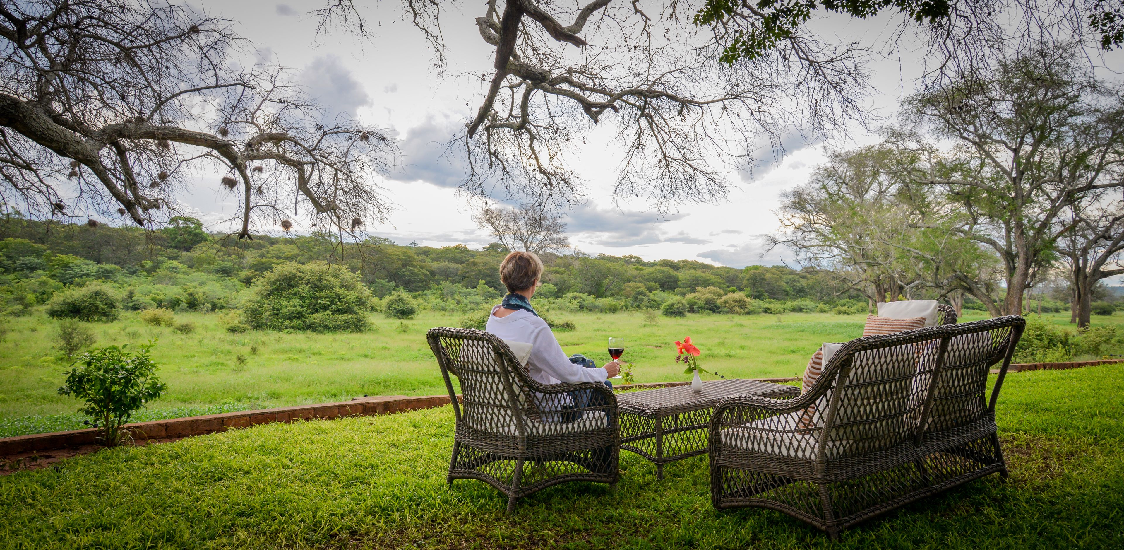 Two wicker chairs facing a grassy field with a view of a forested area and a tree with hanging nests.