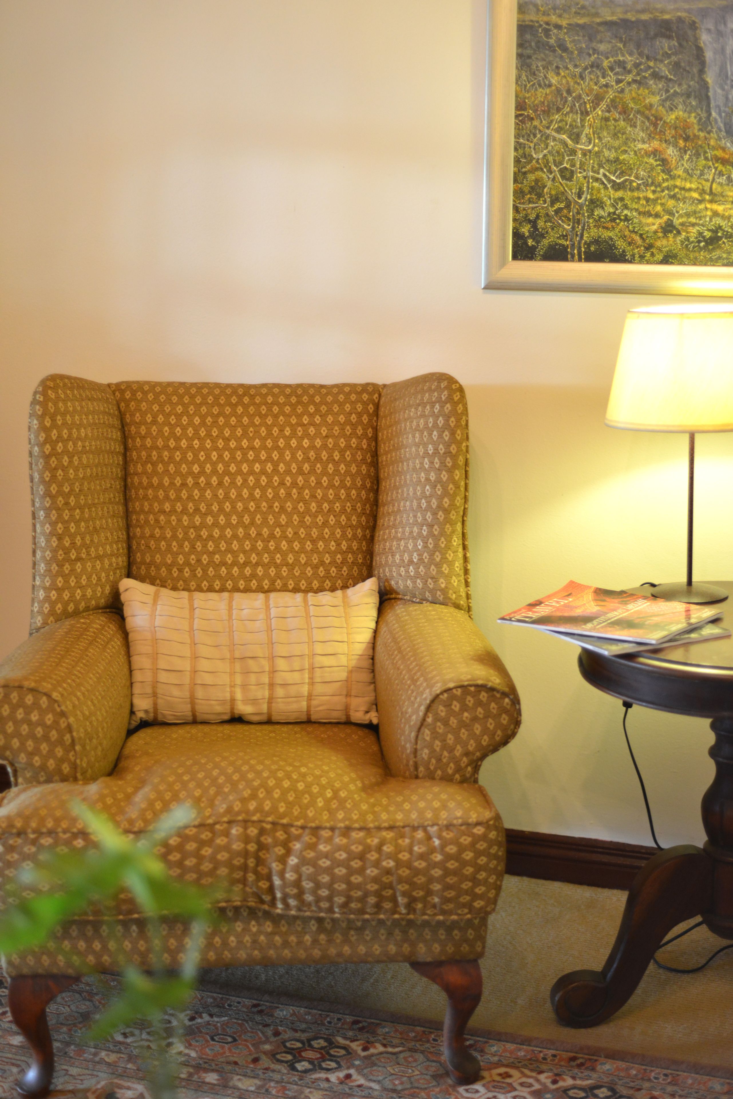 Un sillón estampado con un cojín, una lámpara y una revista sobre una mesita.