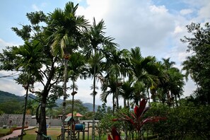 A lush garden with tall palm trees and a playground.