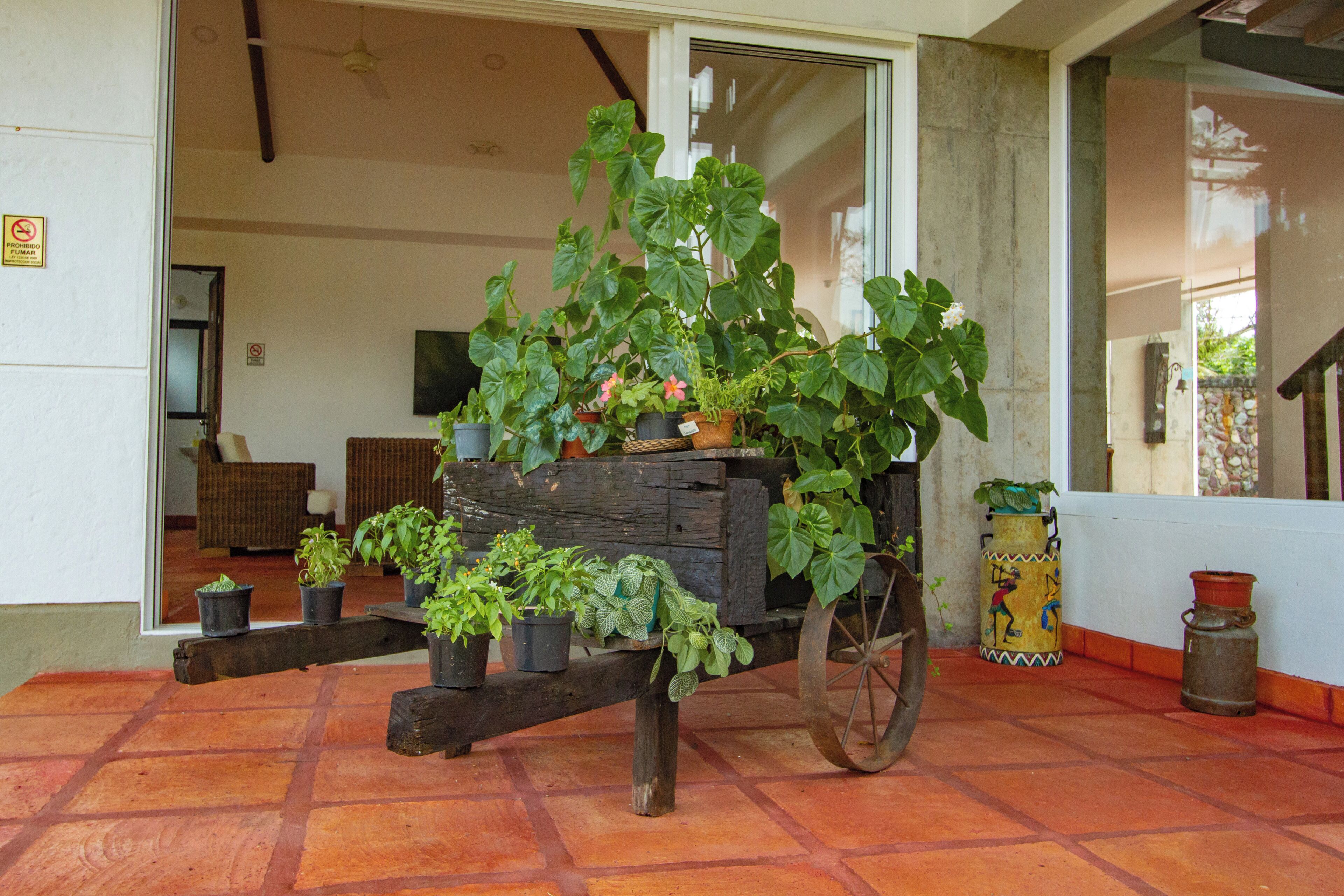 Un chariot en bois sur lequel sont disposées des plantes en pot, un sol carrelé et une porte d’entrée donnant sur un espace intérieur.