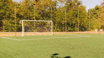 Un campo de fútbol con un arco y una red, rodeado por una valla y árboles.