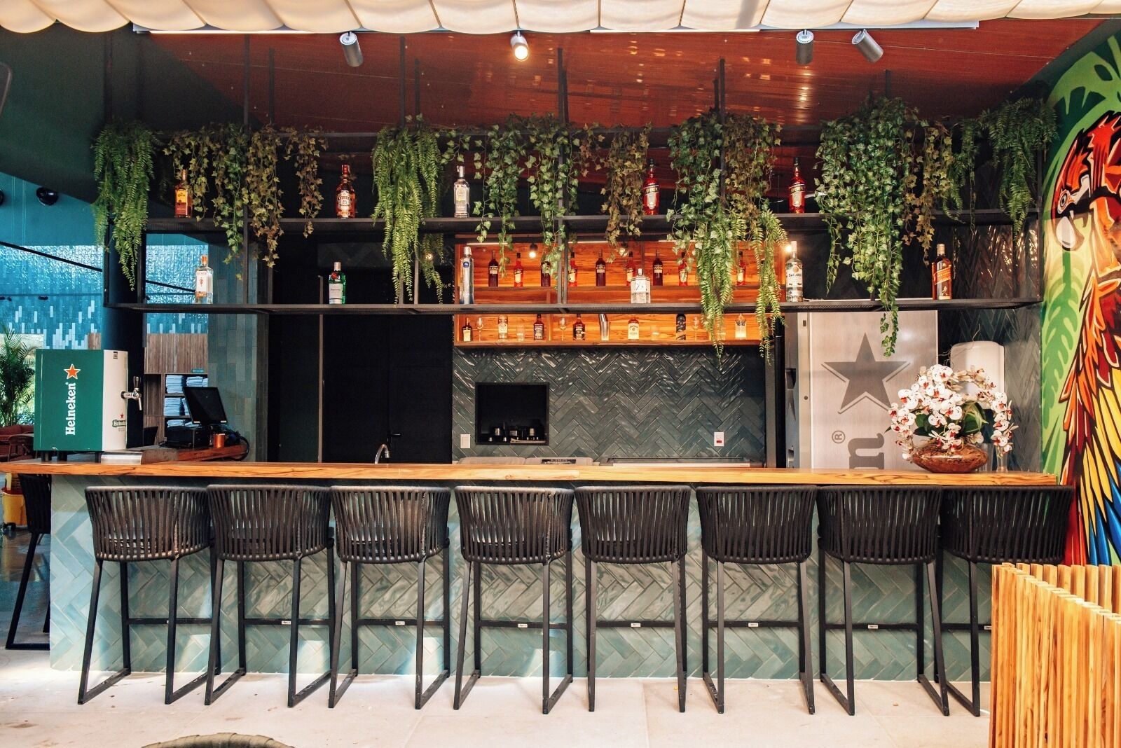 A bar area with a long counter, multiple stools, and shelves with bottles and plants.