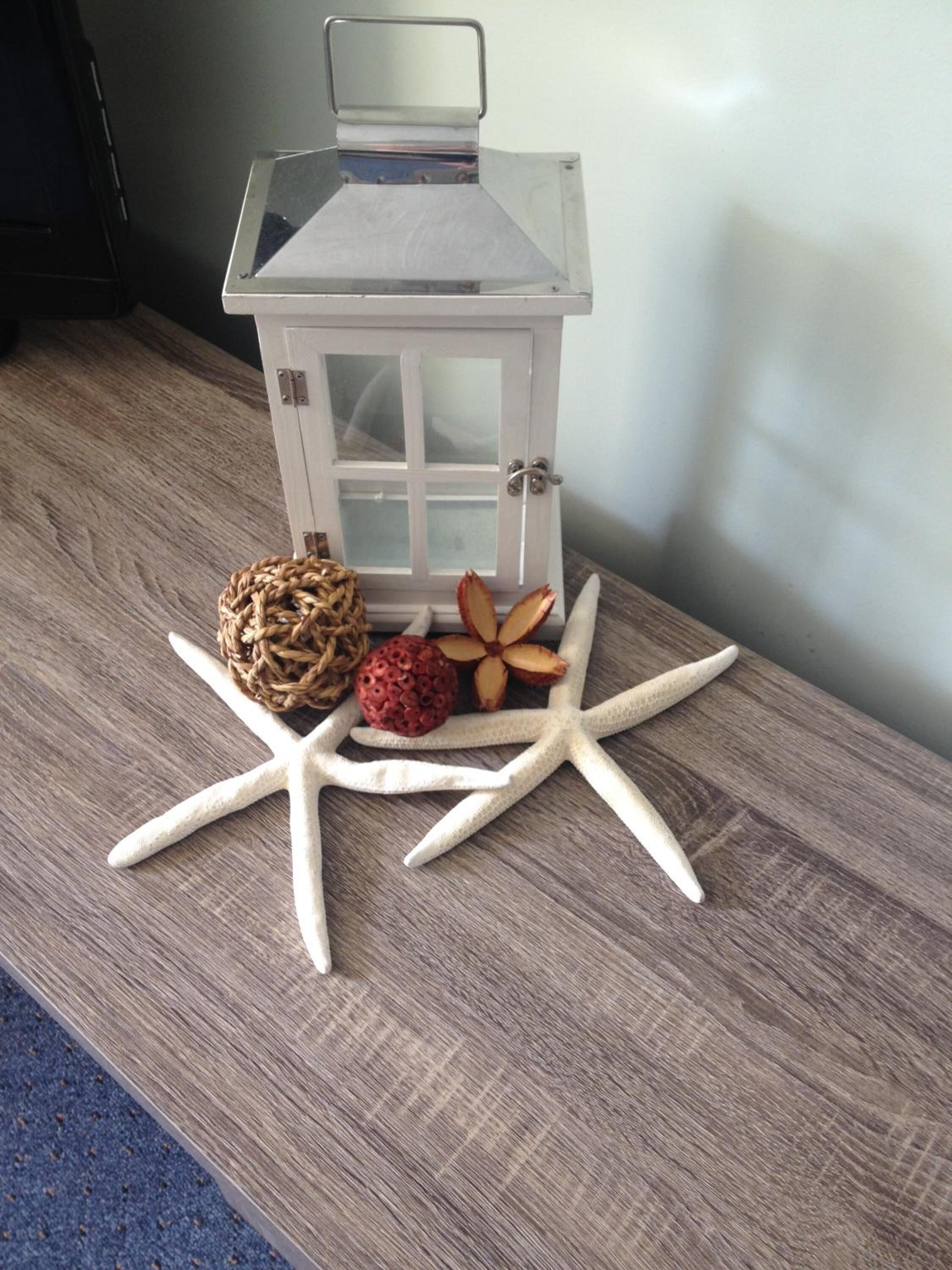 A white lantern with a glass top, a starfish, and a dried fruit on a wooden surface.