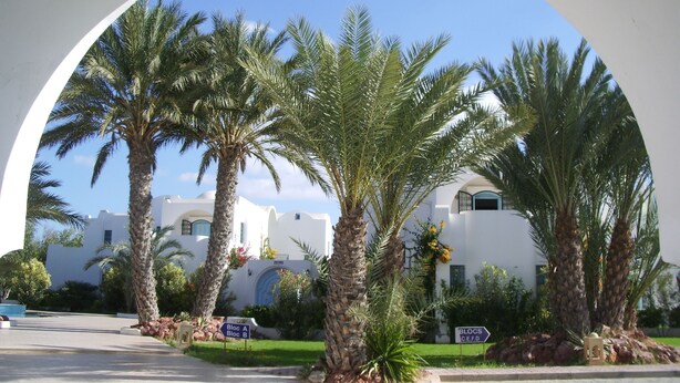 A view through an archway of a building with palm trees in the foreground and a clear blue sky. - Menzel Dija (Djerba Midun)