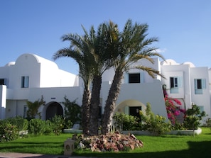 Property grounds - Menzel Dija (Djerba Midun)
