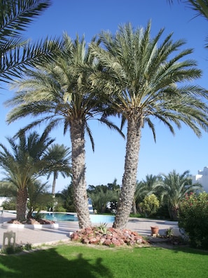 Property grounds - Menzel Dija (Djerba Midun)