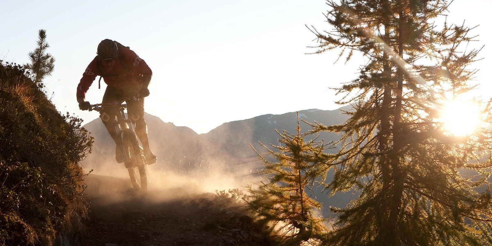 A mountain biker on a trail surrounded by trees and mountains.