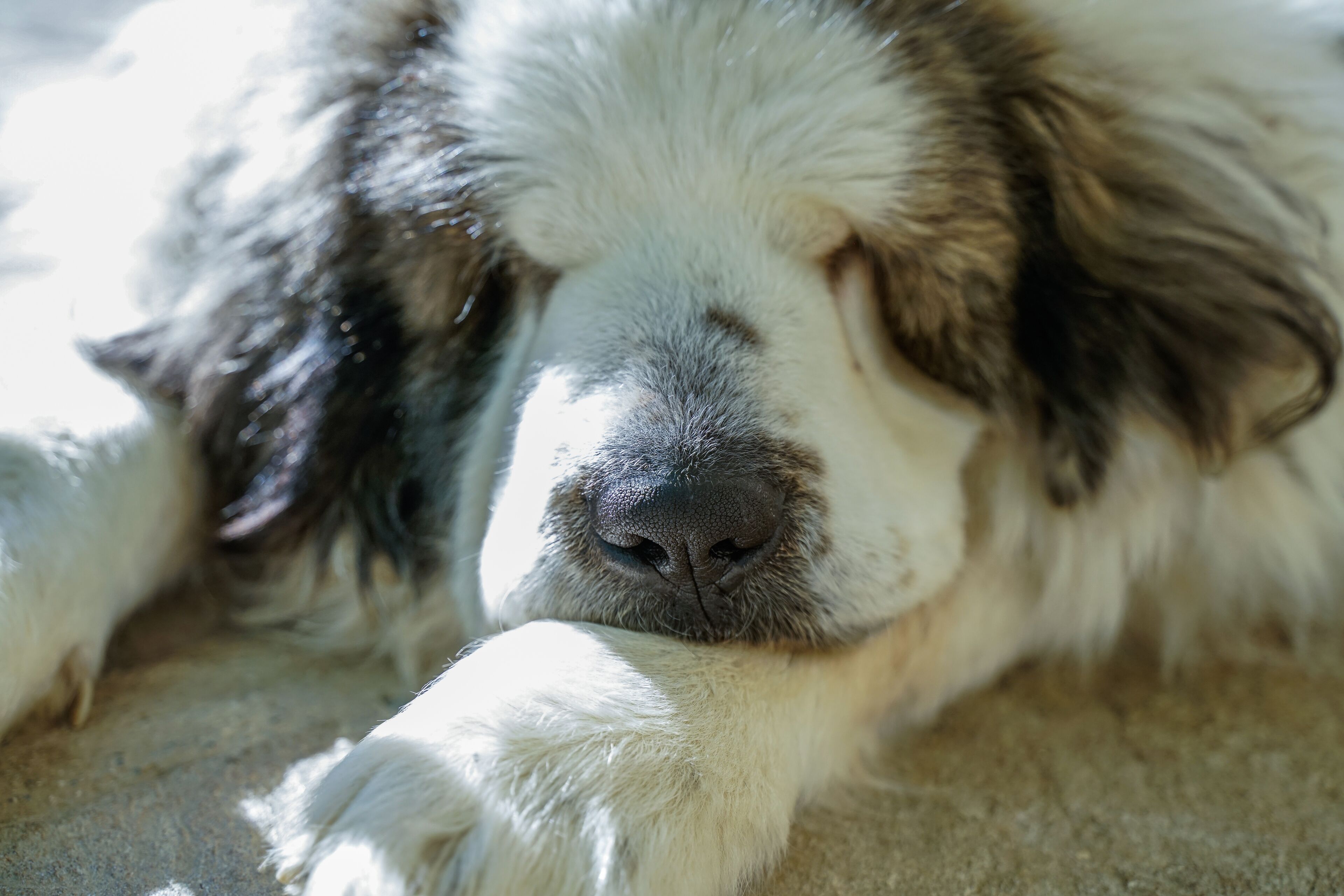 Foto - Hotel Rural Fuente La Teja