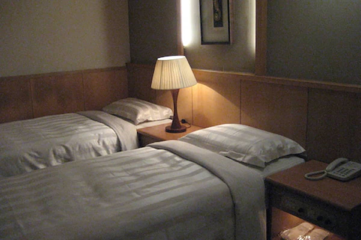 Habitación estándar con 2 camas individuales, sin ventanas | Caja de seguridad en la habitación, wifi gratis y ropa de cama