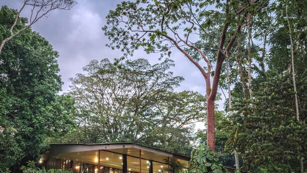 A modern building surrounded by dense greenery, with a large tree in the foreground. - Selva Verde Lodge (Puerto Viejo)