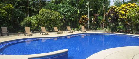 Una piscina al aire libre, sillones reclinables de piscina