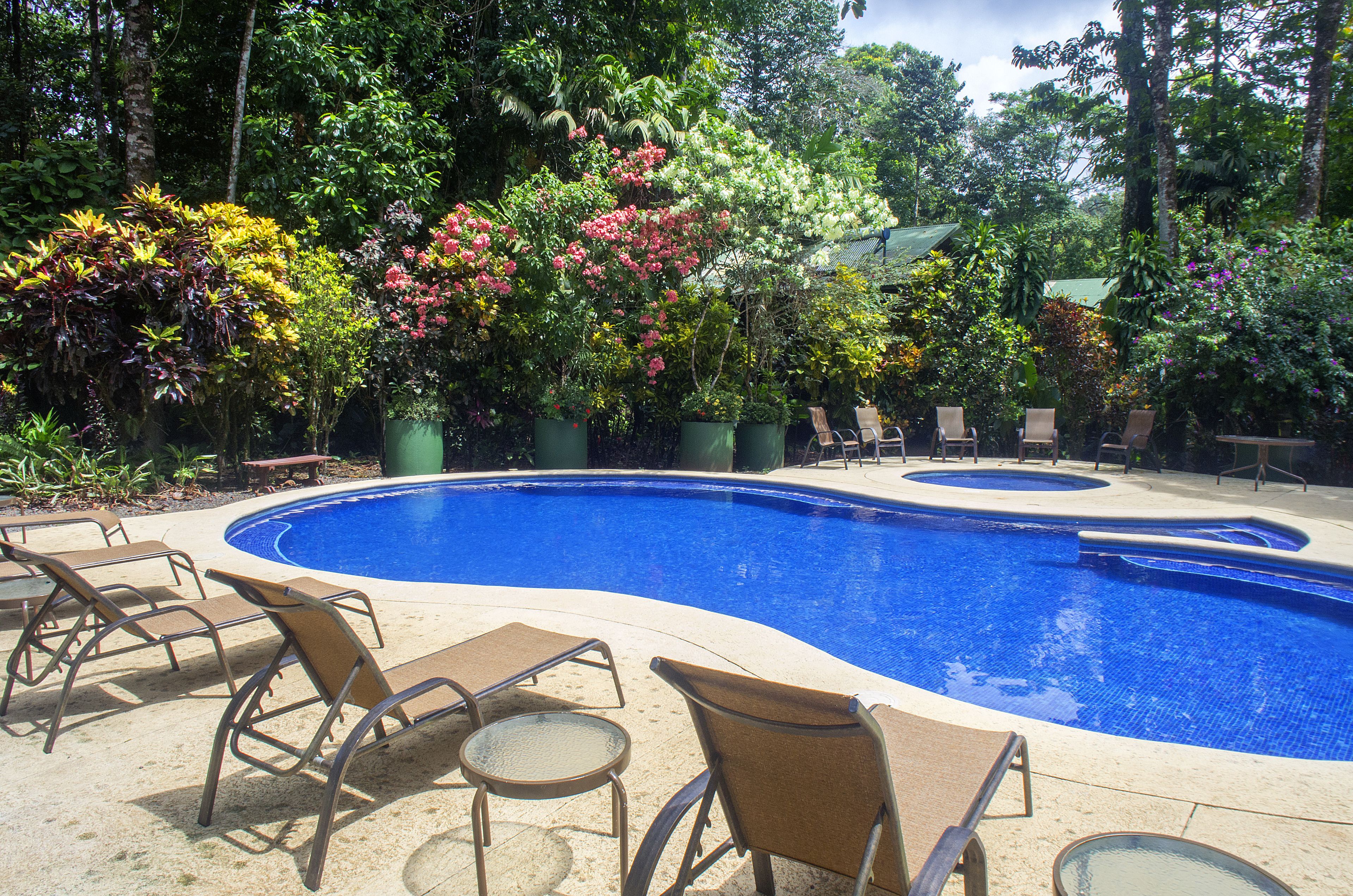 outdoor pool, pool loungers
