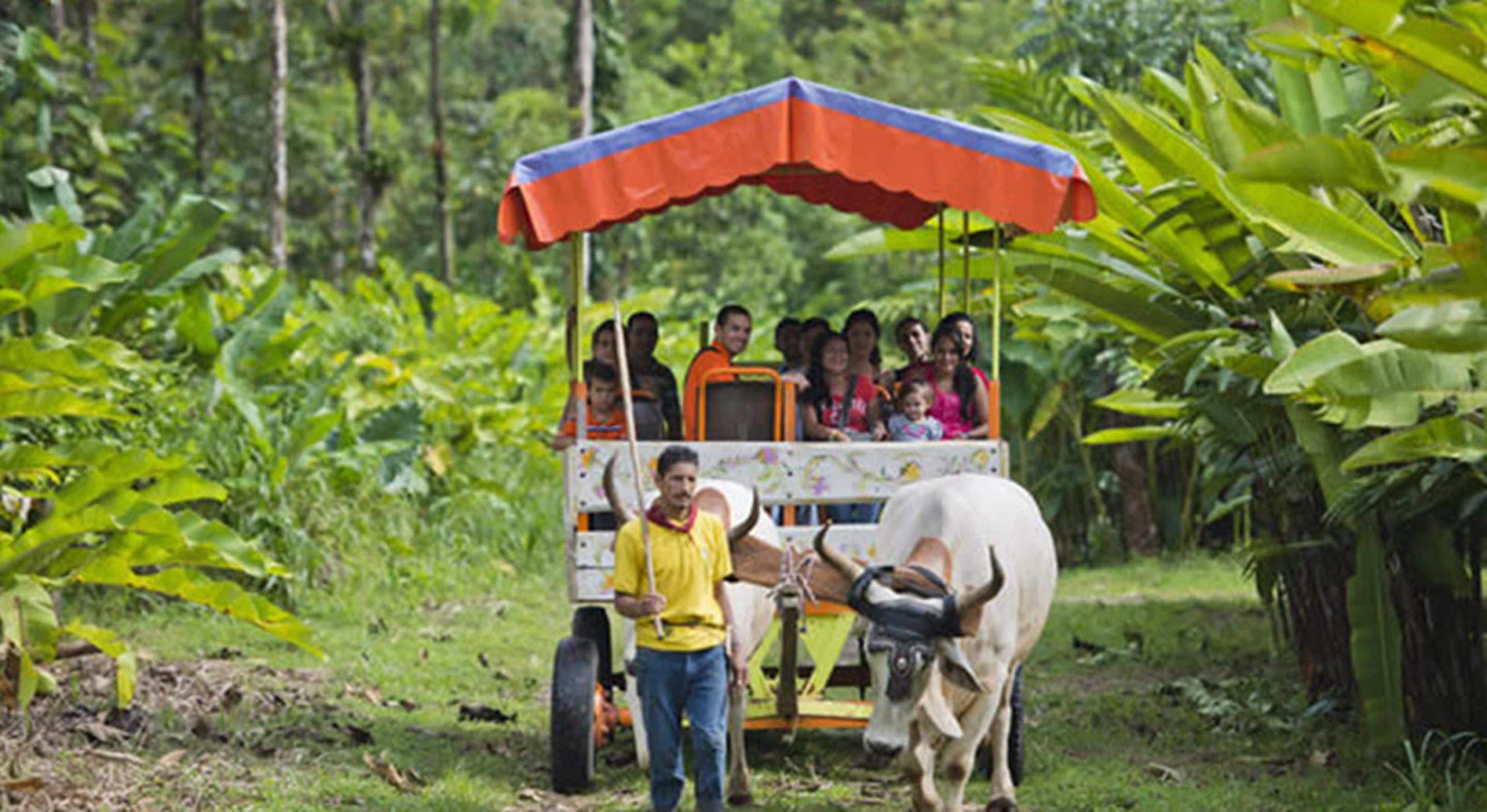 A man driving a cart with a group of people, surrounded by lush greenery.