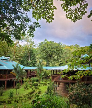 Premium bedding, in-room safe, desk, bed sheets - Selva Verde Lodge (Puerto Viejo)