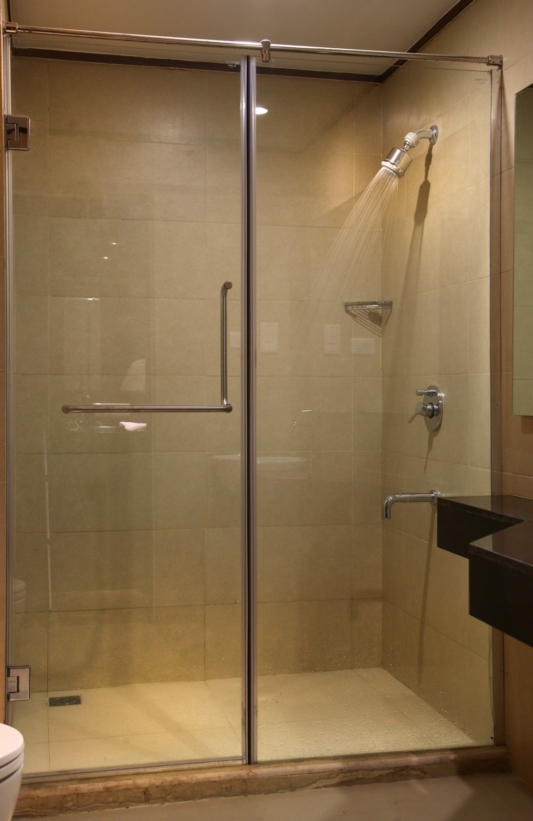 executive room | bathroom shower